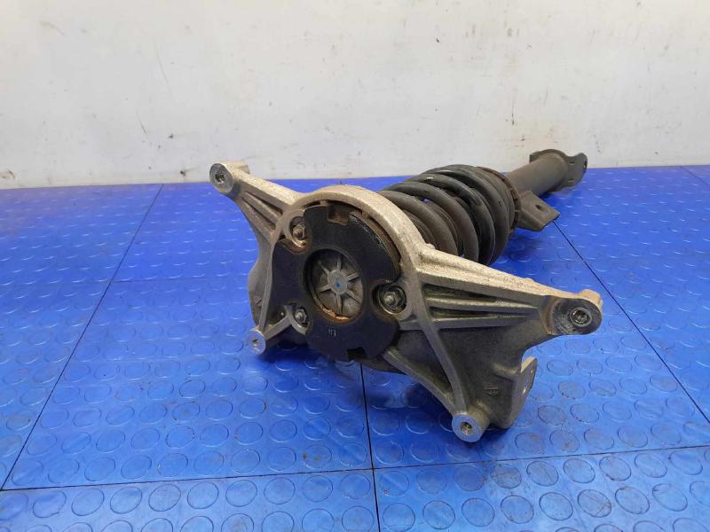 2021 Tesla Model 3 Strut Assembly