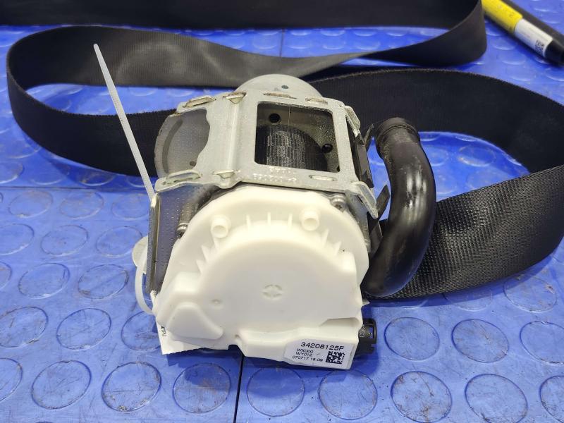 2018 Alfa Romeo Giulia Front Seat Belt