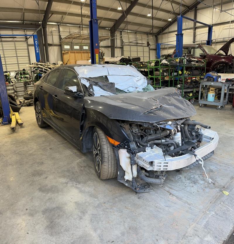2016 Honda Civic Back Glass/Window