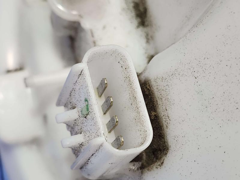 2020 Ford Mustang Fuel Pump