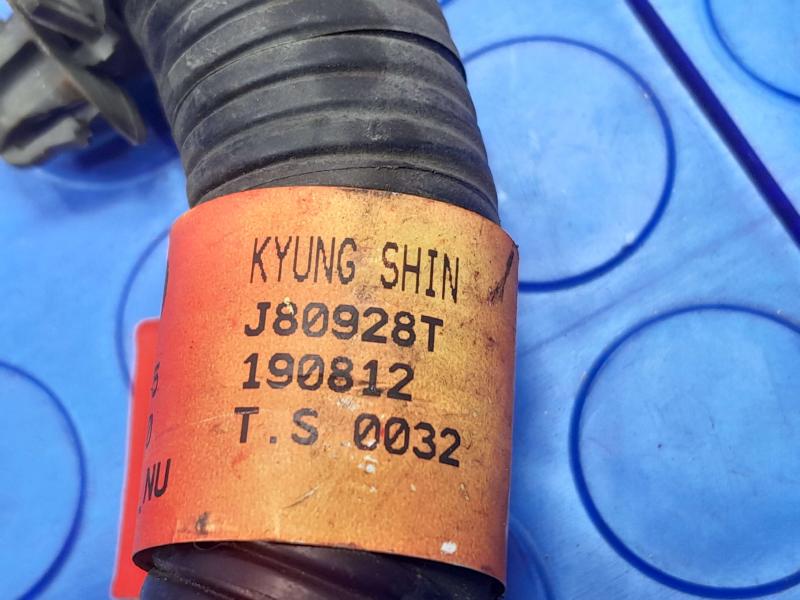 2019-2020 Hyundai Elantra 2.0L Sedan Battery Wiring Harness OEM 91855-F2780
