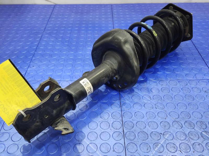 2016 Honda CR-V Strut Assembly