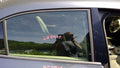 2012 Volkswagen Jetta Rear Door Glass/Window