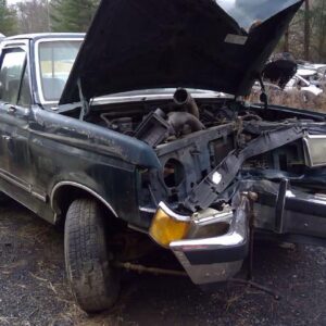 1991 FORD FORD_F150_PICKUP DOOR ASSEMBLY FRONT - 232746