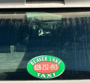 2014 TOYOTA SIENNA BACK GLASS - 232415