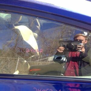 2012 TOYOTA PRIUS DOOR GLASS FRONT - 290819