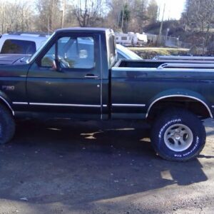 1993 FORD FORD_F150_PICKUP HOOD - 235794