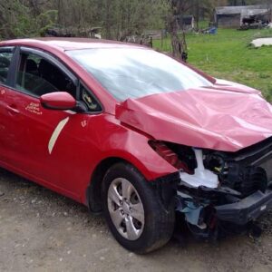 2016 KIA FORTE DOOR ASSEMBLY FRONT - 245301